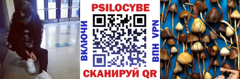 Галлюциногенные грибы мицелий  сколько стоит  Кизляр 