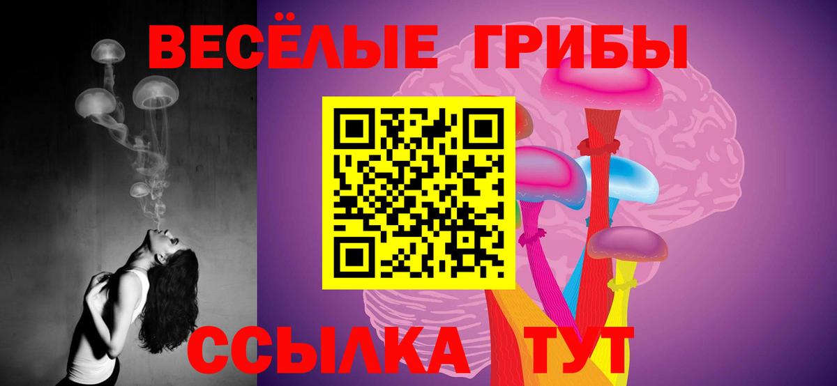 Галлюциногенные грибы MAGIC MUSHROOMS Кизляр